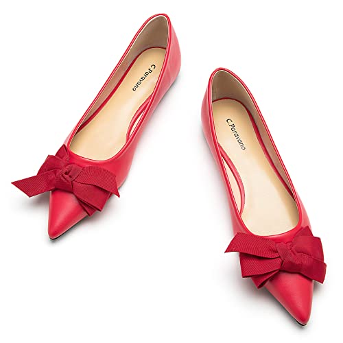 Pointy Bow Flats Women's Flats Comfortable Stylish Slip-On Shoes for Casual and Office