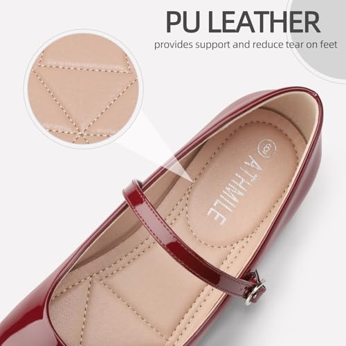 Mary Jane Shoes Women Ballet Flats Shoes for Women Slip on Comfortable Dressy Adjustable Strap for Work Office Business Casual
