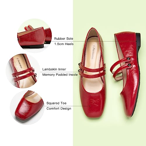 Women's Mary Jane Flats | Closed Toe Mary Jane Shoes for Women | Slip On Mary Janes Ballet Flats | Dress Strap Shoes for Casual